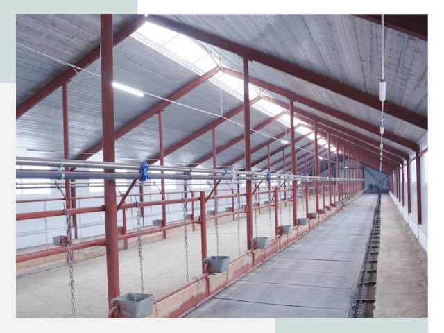 Строительство коровников в Азнакаеве от 616 руб.