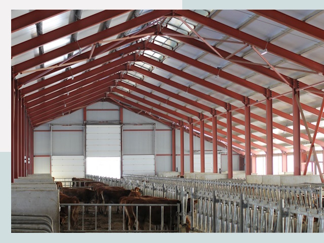 Строительство коровников в Азнакаеве