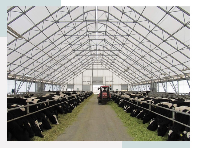 Тентовые коровники в Азнакаеве от 616 руб. - Надежно и доступно