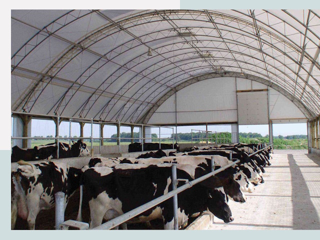 Тентовые коровники в Азнакаеве